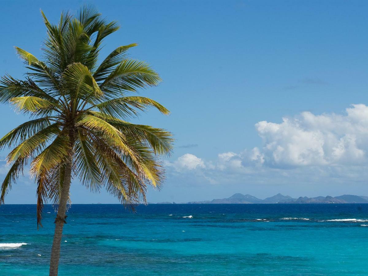 Sint Maarten Coral Beach Club Villas & Marina מראה חיצוני תמונה